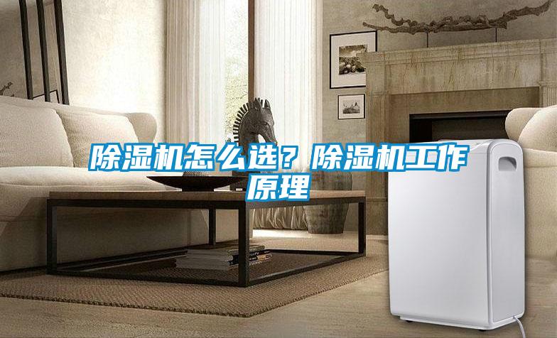 除濕機怎么選?除濕機工作原理
