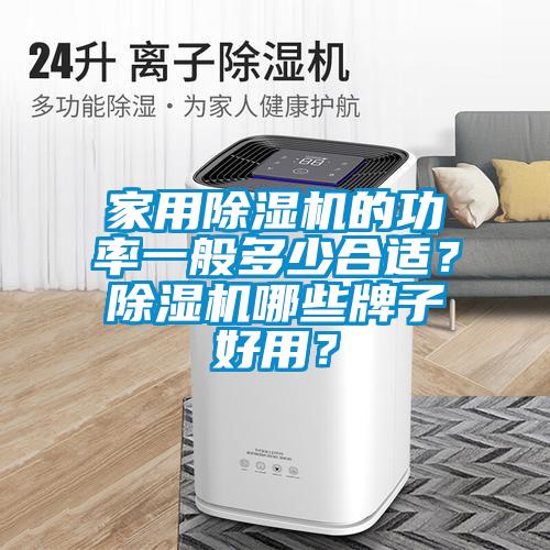 家用除濕機的功率一般多少合適？除濕機哪些牌子好用？