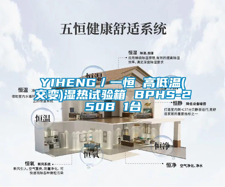YIHENG/一恒 高低溫(交變)濕熱試驗箱 BPHS-250B 1臺