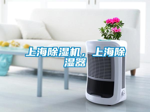 上海除濕機,上海除濕器