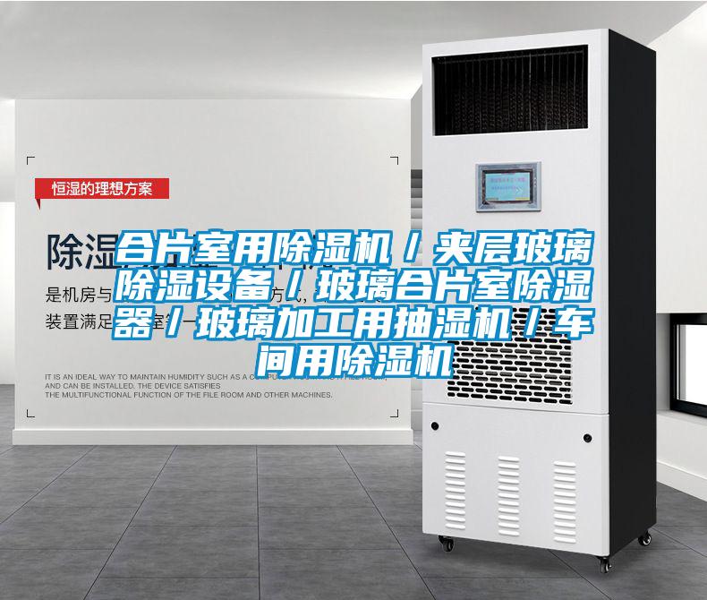 合片室用除濕機/夾層玻璃除濕設備/玻璃合片室除濕器/玻璃加工用抽濕機/車間用除濕機