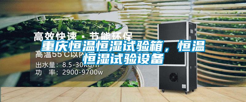 重慶恒溫恒濕試驗箱，恒溫恒濕試驗設備