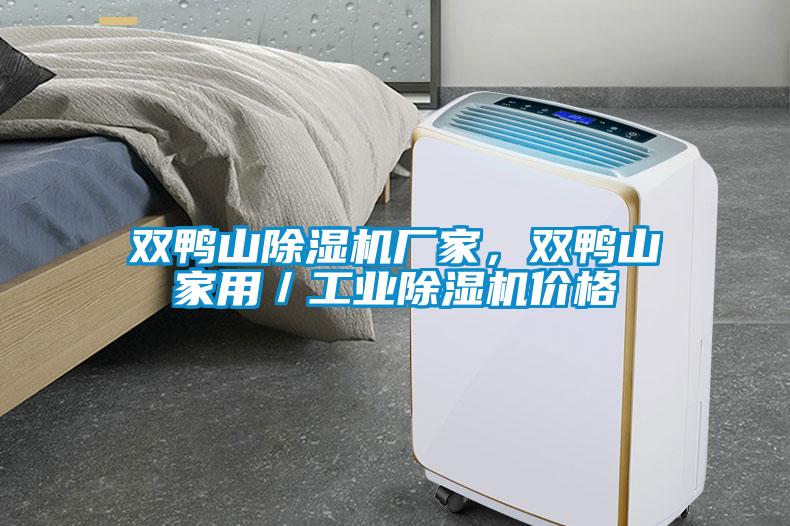 雙鴨山除濕機(jī)廠家，雙鴨山家用／工業(yè)除濕機(jī)價格