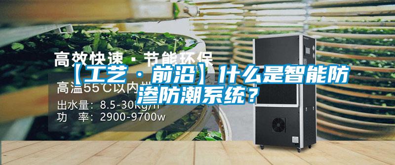 【工藝·前沿】什么是智能防滲防潮系統?