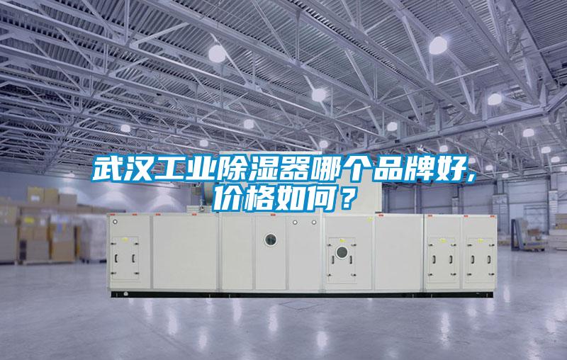 武漢工業除濕器哪個品牌好,價格如何？