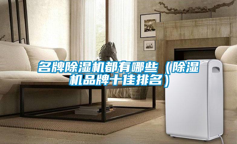 名牌除濕機都有哪些(除濕機品牌十佳排名)