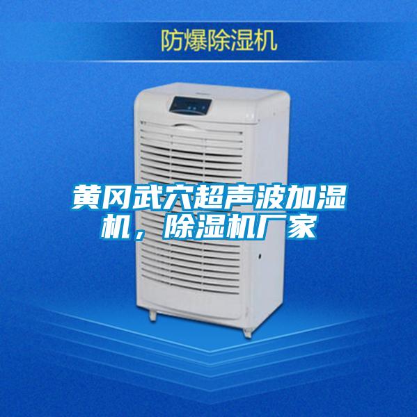 黃岡武穴超聲波加濕機,除濕機廠家