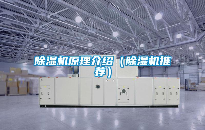 除濕機原理介紹(除濕機推薦)