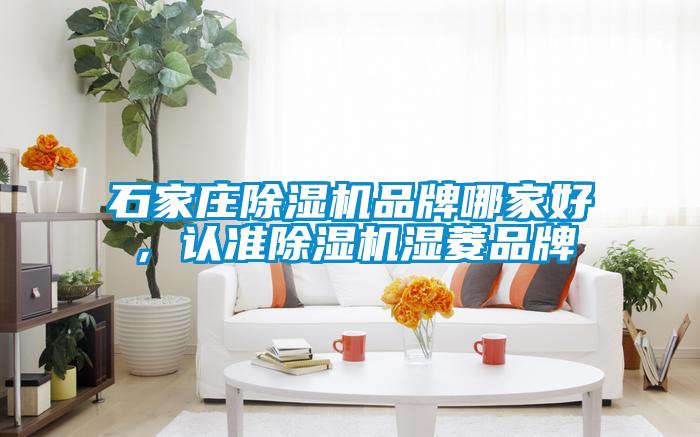 石家莊除濕機品牌哪家好，認(rèn)準(zhǔn)除濕機濕菱品牌