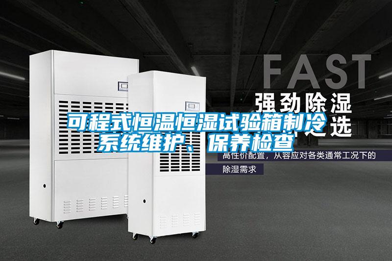 可程式恒溫恒濕試驗箱制冷系統(tǒng)維護(hù)、保養(yǎng)檢查