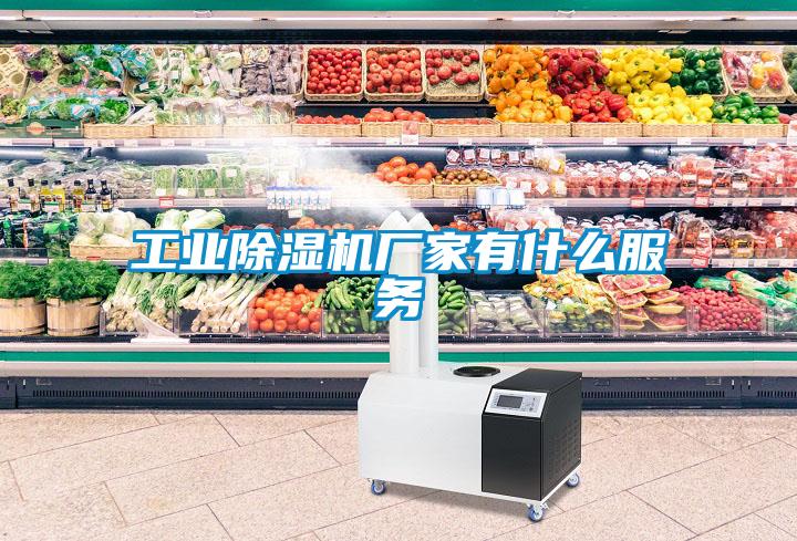 工業(yè)除濕機廠家有什么服務