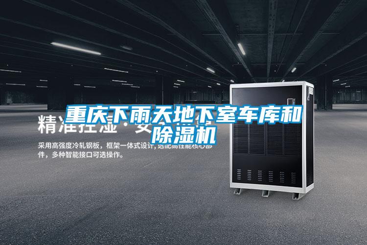 重慶下雨天地下室車(chē)庫(kù)和除濕機(jī)