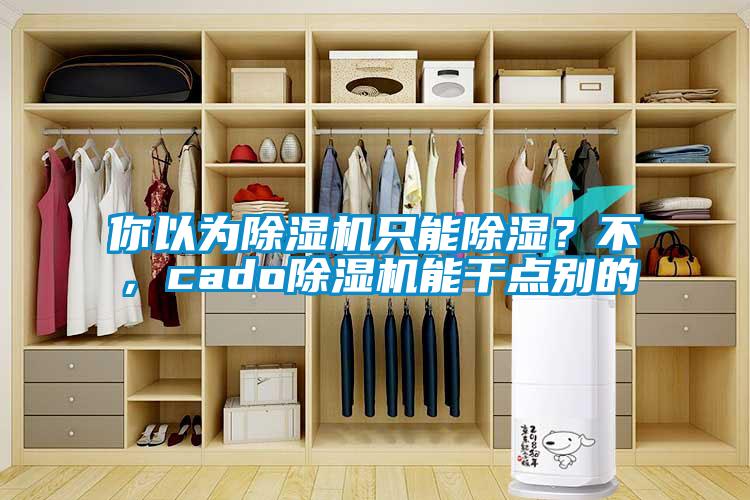 你以為除濕機只能除濕？不，cado除濕機能干點別的