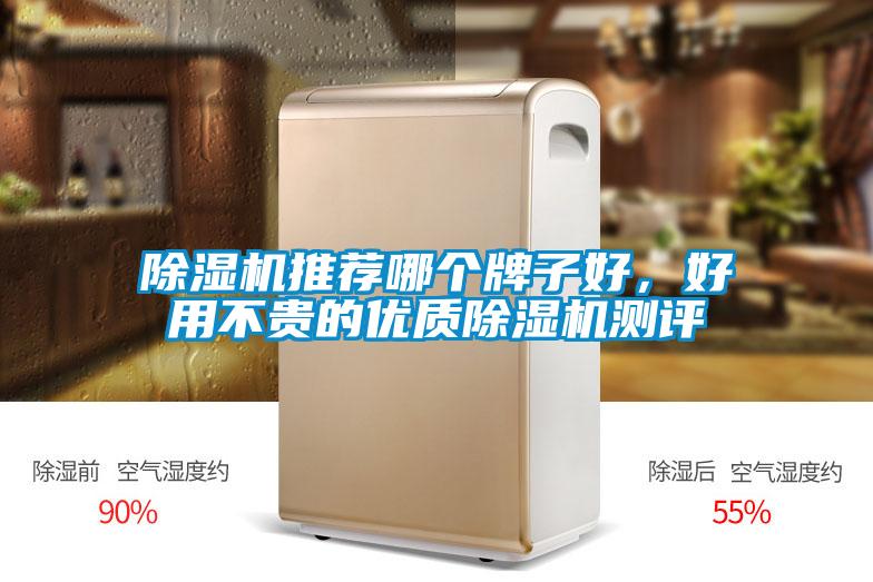除濕機(jī)推薦哪個(gè)牌子好,好用不貴的優(yōu)質(zhì)除濕機(jī)測(cè)評(píng)