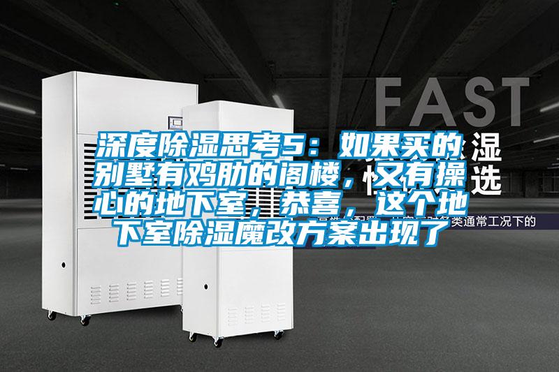 深度除濕思考5：如果買(mǎi)的別墅有雞肋的閣樓，又有操心的地下室，恭喜，這個(gè)地下室除濕魔改方案出現(xiàn)了