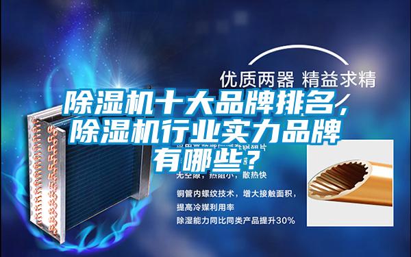 除濕機十大品牌排名,除濕機行業實力品牌有哪些?