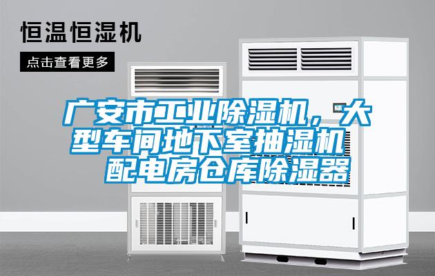 廣安市工業(yè)除濕機(jī),大型車間地下室抽濕機(jī)  配電房倉(cāng)庫(kù)除濕器