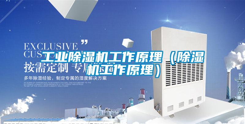 工業(yè)除濕機工作原理(除濕機工作原理)