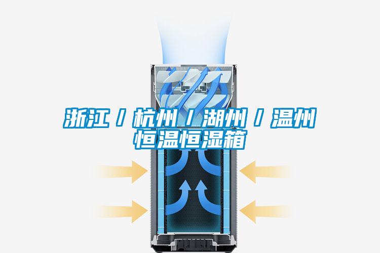 浙江/杭州/湖州/溫州恒溫恒濕箱