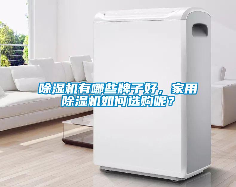 除濕機有哪些牌子好,家用除濕機如何選購呢?