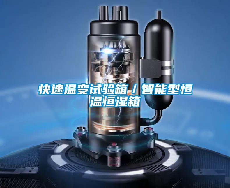 快速溫變試驗箱/智能型恒溫恒濕箱