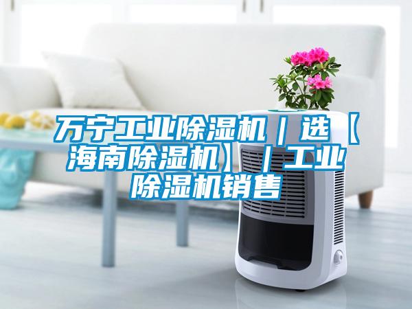 萬寧工業(yè)除濕機|選【海南除濕機】|工業(yè)除濕機銷售