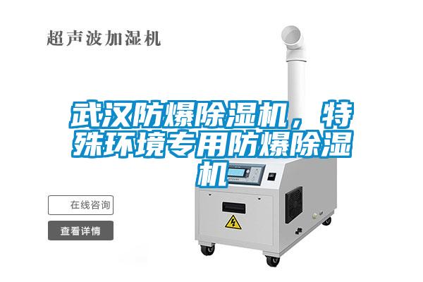武漢防爆除濕機(jī)，特殊環(huán)境專用防爆除濕機(jī)