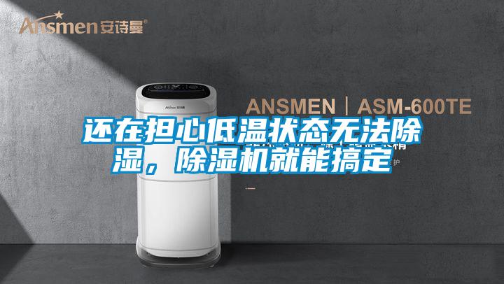 還在擔心低溫狀態(tài)無法除濕,除濕機就能搞定