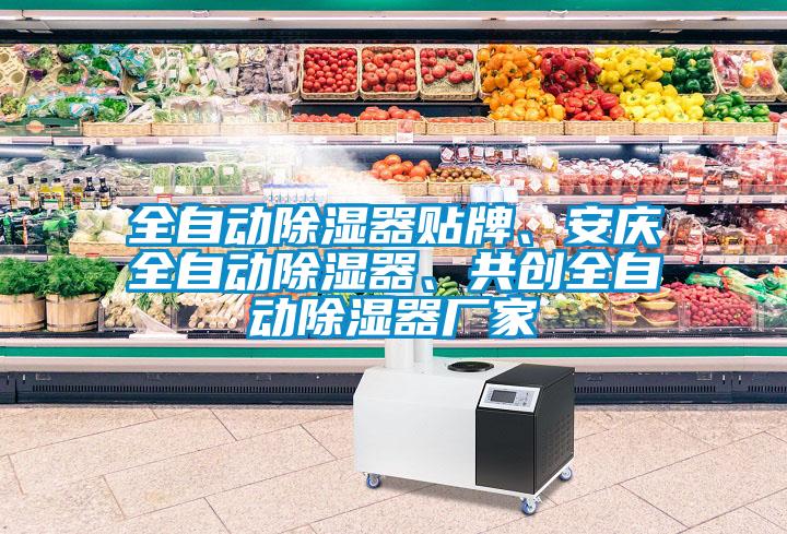 全自動(dòng)除濕器貼牌、安慶全自動(dòng)除濕器、共創(chuàng)全自動(dòng)除濕器廠家
