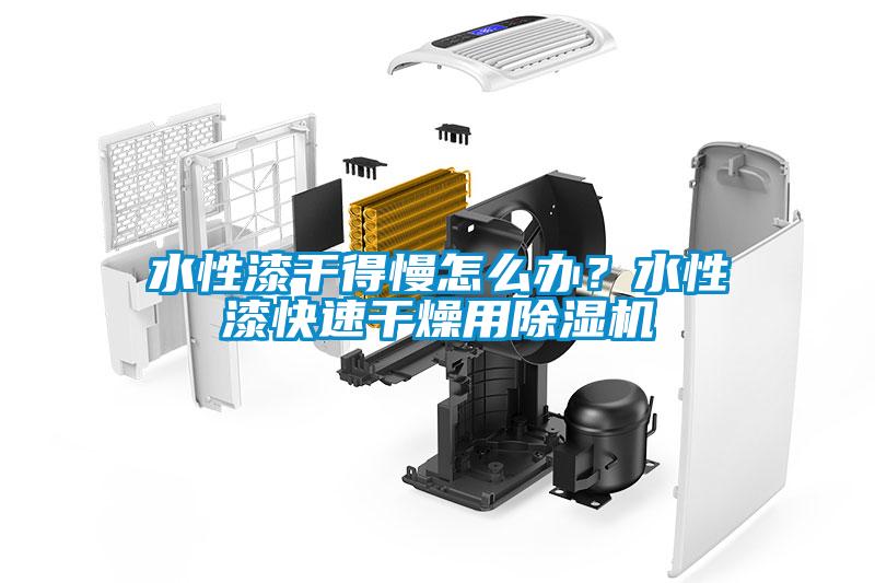 水性漆干得慢怎么辦？水性漆快速干燥用除濕機