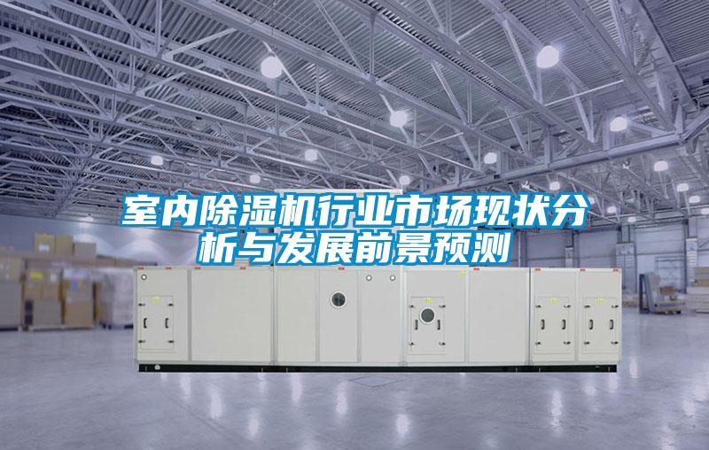 室內(nèi)除濕機(jī)行業(yè)市場現(xiàn)狀分析與發(fā)展前景預(yù)測