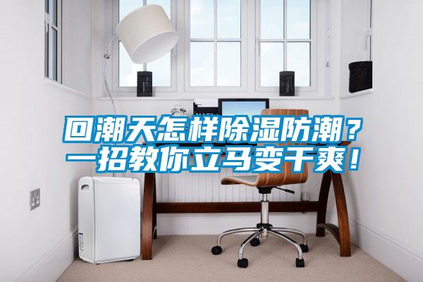 回潮天怎樣除濕防潮?一招教你立馬變干爽!
