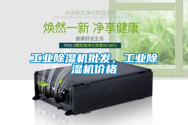 工業除濕機批發,工業除濕機價格