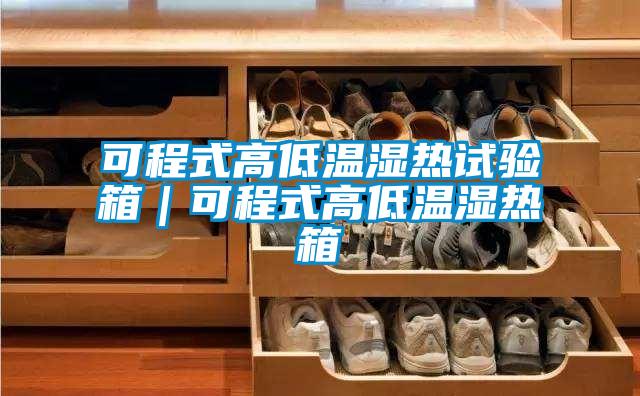 可程式高低溫濕熱試驗箱|可程式高低溫濕熱箱