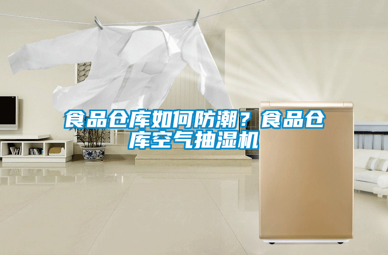食品倉(cāng)庫(kù)如何防潮？食品倉(cāng)庫(kù)空氣抽濕機(jī)