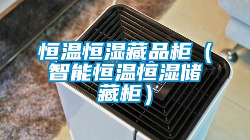 恒溫恒濕藏品柜(智能恒溫恒濕儲藏柜)