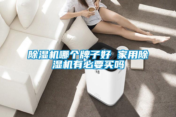除濕機(jī)哪個(gè)牌子好 家用除濕機(jī)有必要買(mǎi)嗎