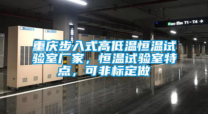 重慶步入式高低溫恒溫試驗室廠家，恒溫試驗室特點，可非標定做