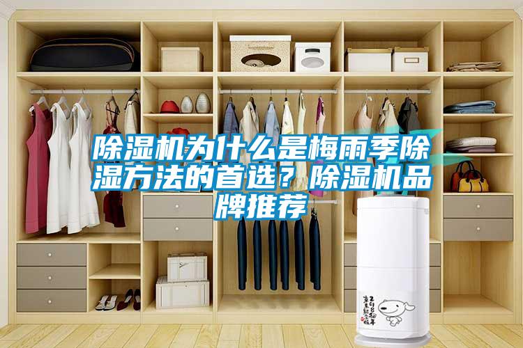 除濕機為什么是梅雨季除濕方法的首選？除濕機品牌推薦