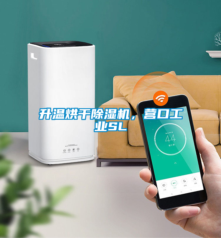 升溫烘干除濕機,營口工業SL