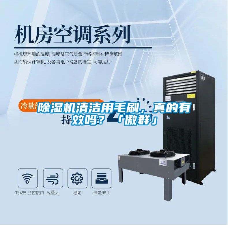 除濕機清潔用毛刷,真的有效嗎?「傲群」
