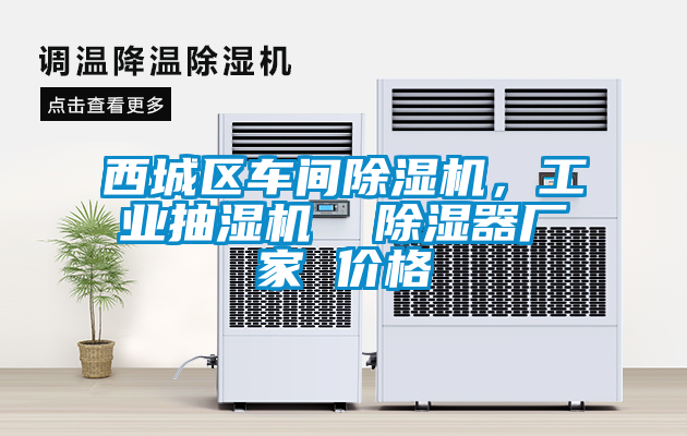西城區車間除濕機，工業抽濕機  除濕器廠家 價格