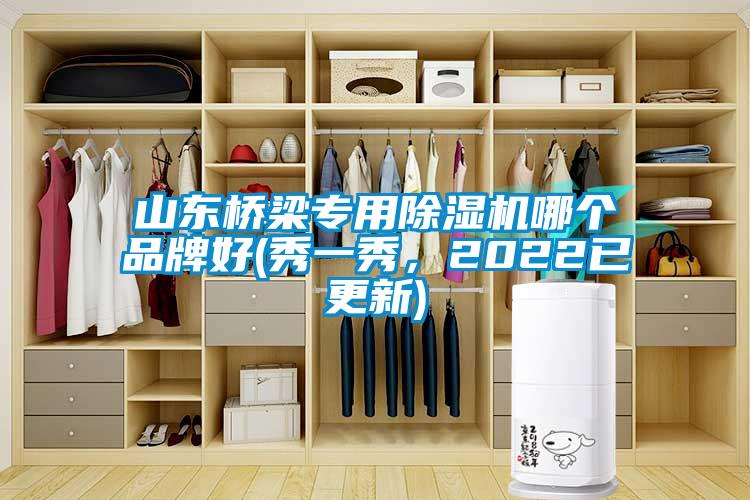 山東橋梁專用除濕機哪個品牌好(秀一秀，2022已更新)