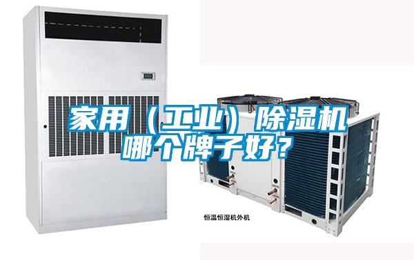 家用（工業(yè)）除濕機哪個牌子好？