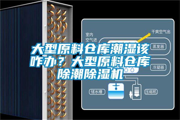 大型原料倉庫潮濕該咋辦？大型原料倉庫除潮除濕機