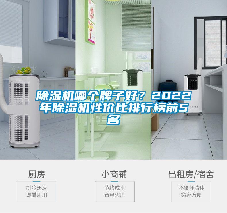 除濕機(jī)哪個(gè)牌子好?2022年除濕機(jī)性價(jià)比排行榜前5名