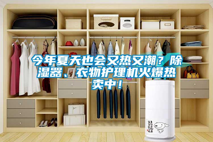 今年夏天也會又熱又潮？除濕器、衣物護理機火爆熱賣中！
