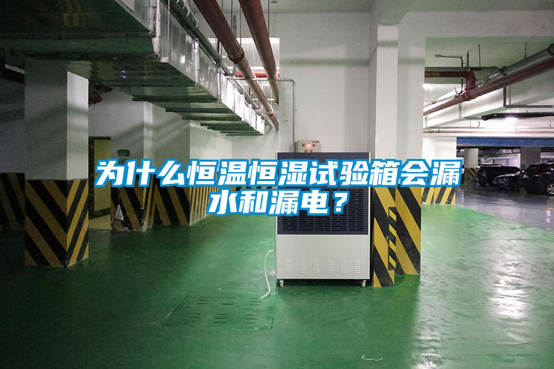 為什么恒溫恒濕試驗箱會漏水和漏電?