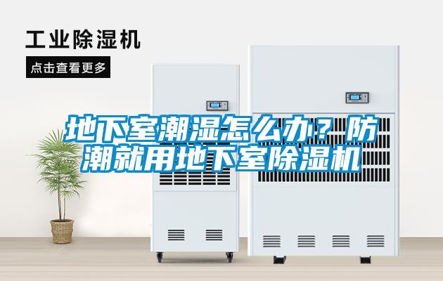 地下室潮濕怎么辦？防潮就用地下室除濕機(jī)