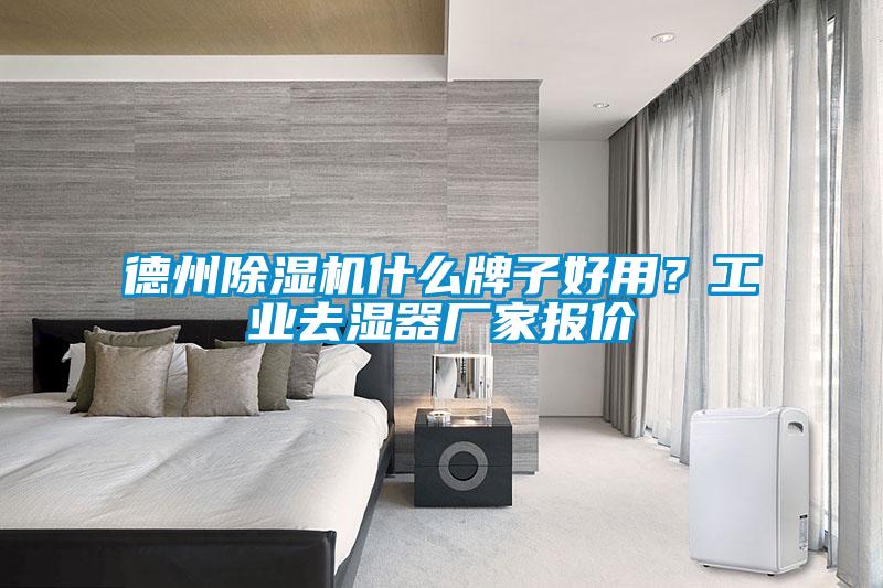 德州除濕機(jī)什么牌子好用？工業(yè)去濕器廠家報價